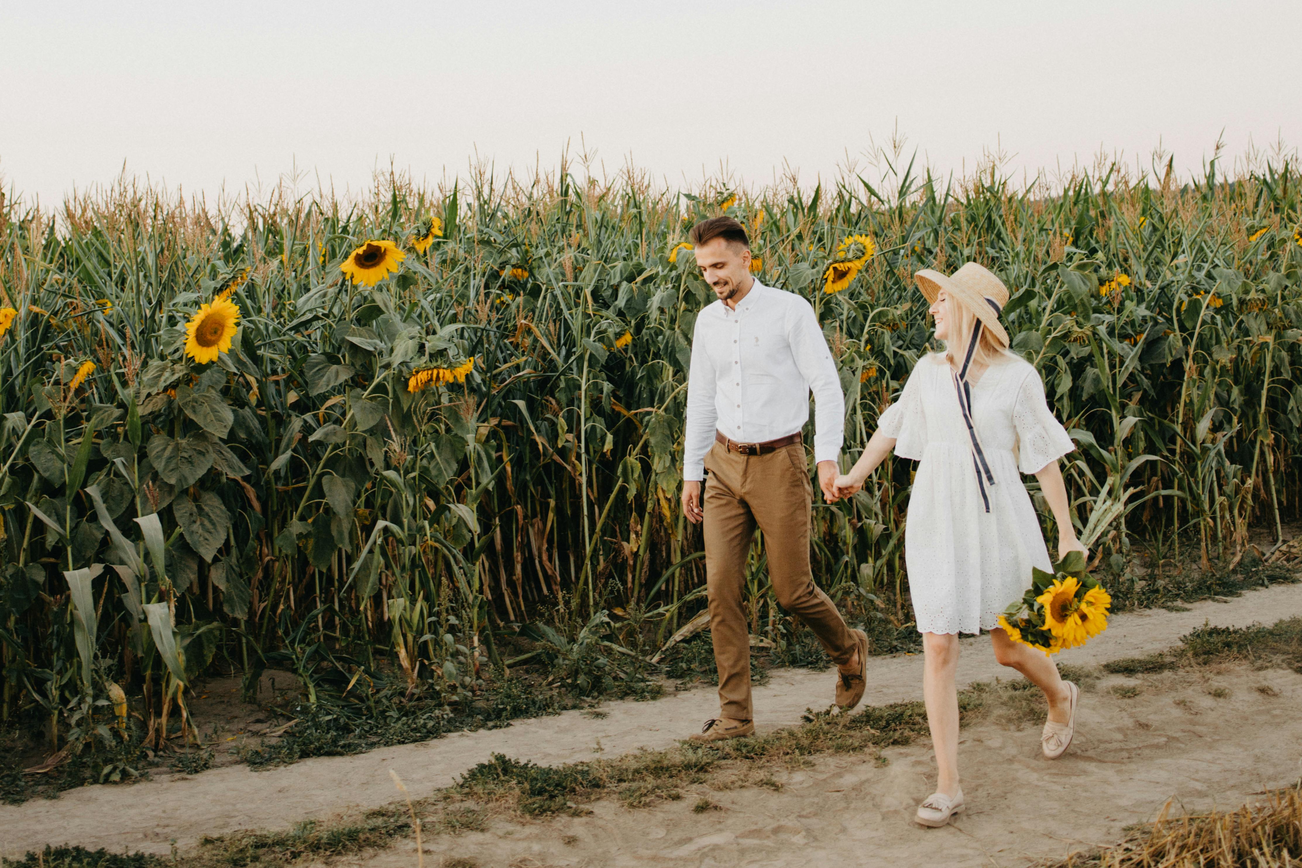 A couple walking hand in hand through a sunflower field during sunset, capturing a romantic and serene moment.