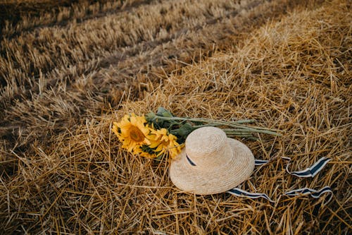 Sunflowers and Straw Hat on Grass