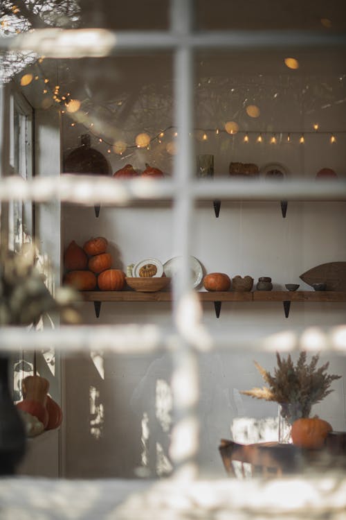 Orange Pumpkins Inside the Room