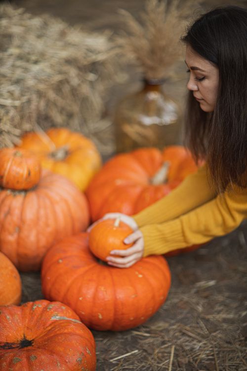 Free Young woman choosing pumpkins among hay bales during fall harvest. Stock Photo
