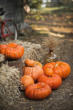南瓜和干草包的搭配营造出传统的秋季户外氛围