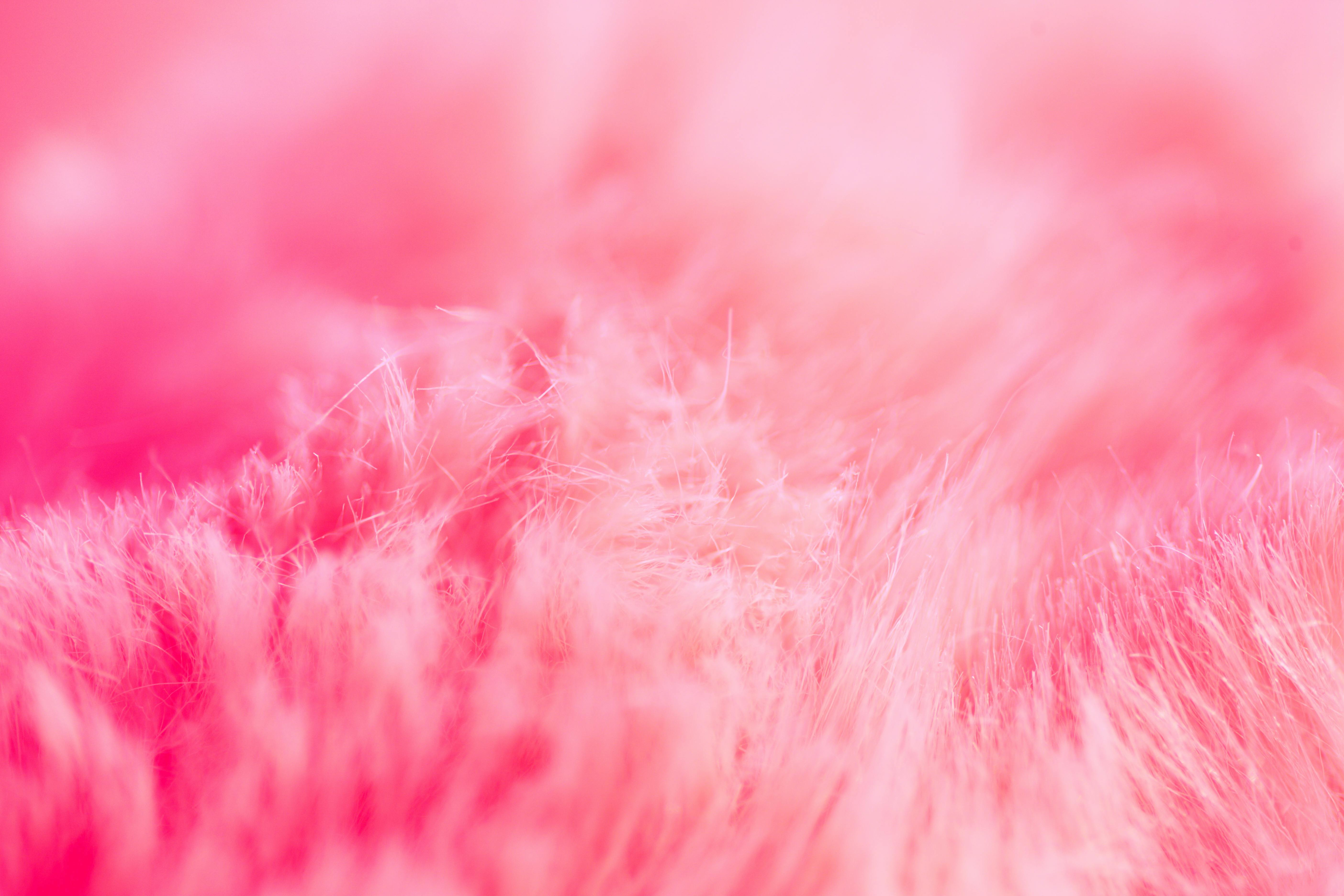 Artificial Pink Fur Background Stock Photo, Picture and Royalty Free Image.  Image 23037258.