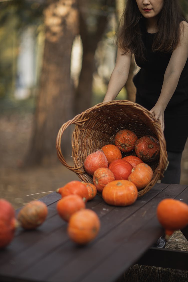 Woman In Witch Costume Holding A Basket Of Pumpkins