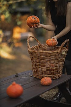 A woman in a black dress places pumpkins into a wicker basket on an outdoor wooden table.