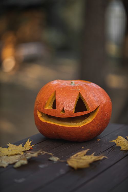Free A carved pumpkin sits on a rustic wooden table surrounded by autumn leaves, perfect for Halloween decor. Stock Photo