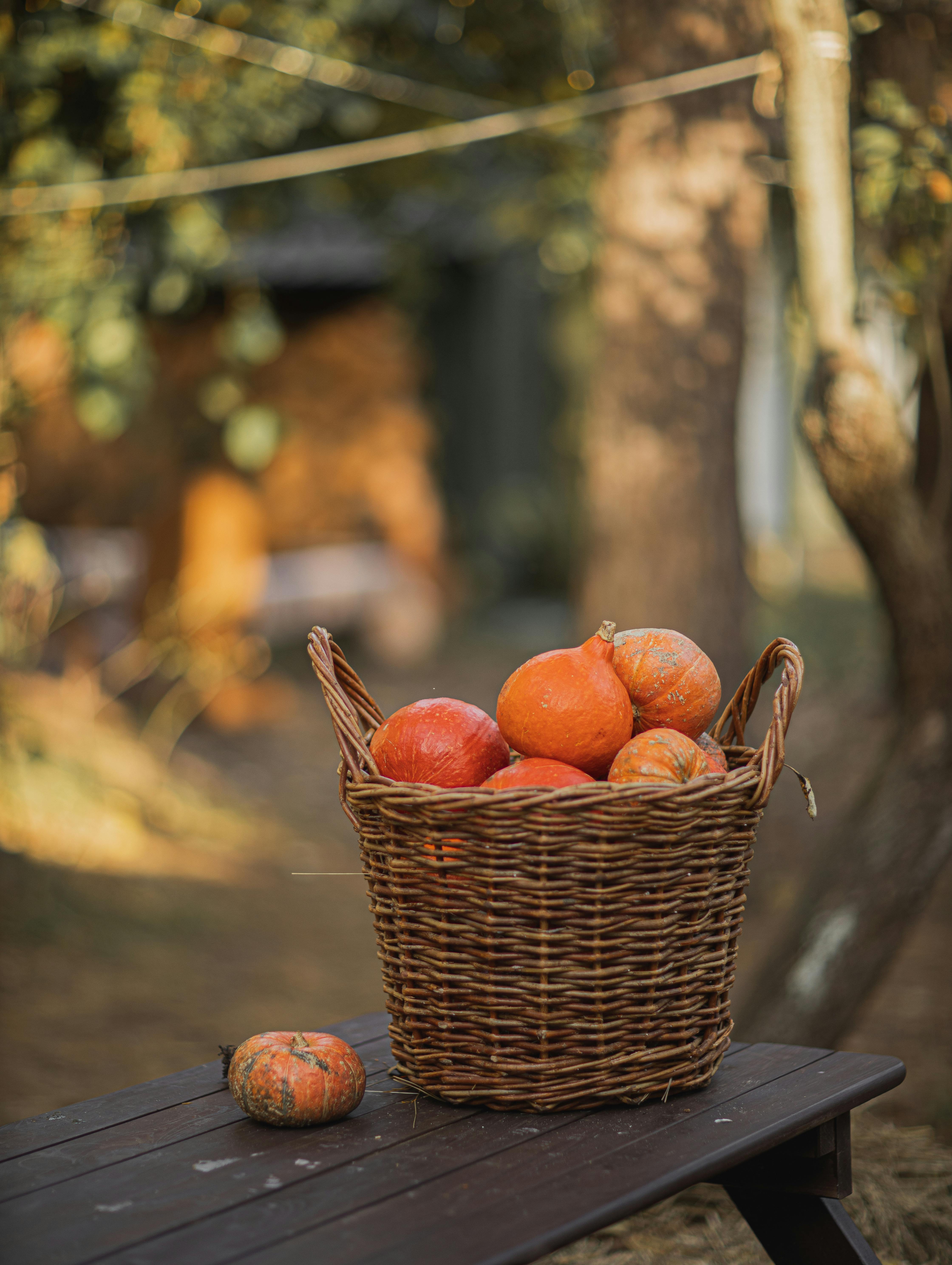 orange pumpkins in brown woven basket