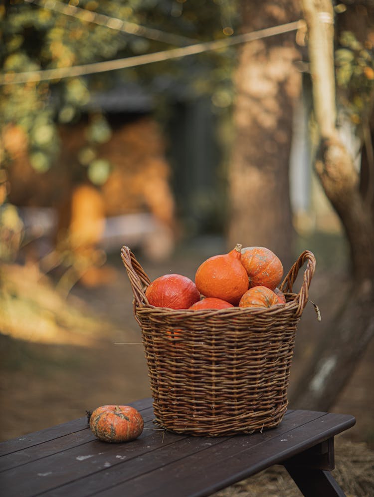 Orange Pumpkins In Brown Woven Basket