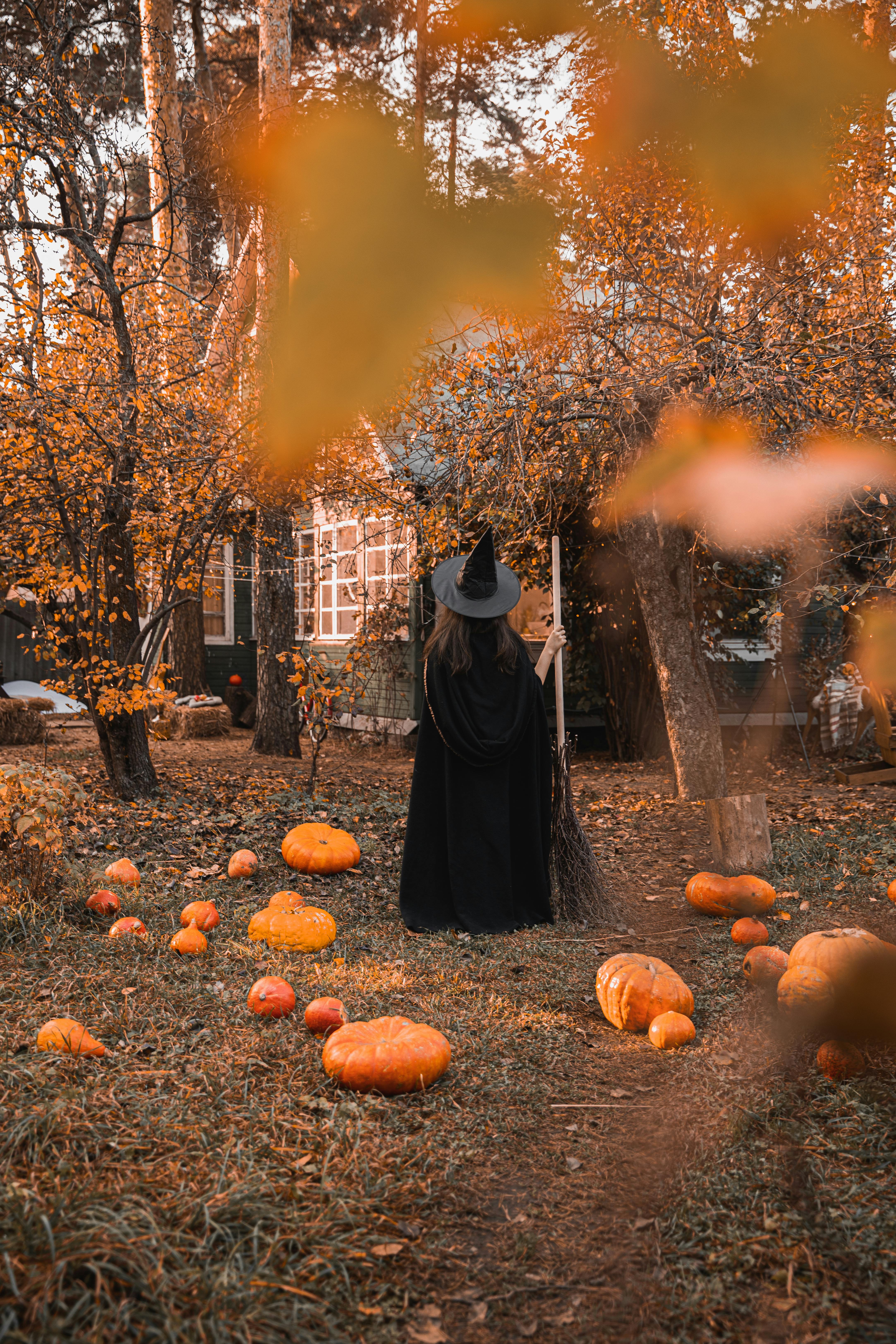 Free Vue Arrière De La Femme En Costume De Sorcière Noire Stock Photo