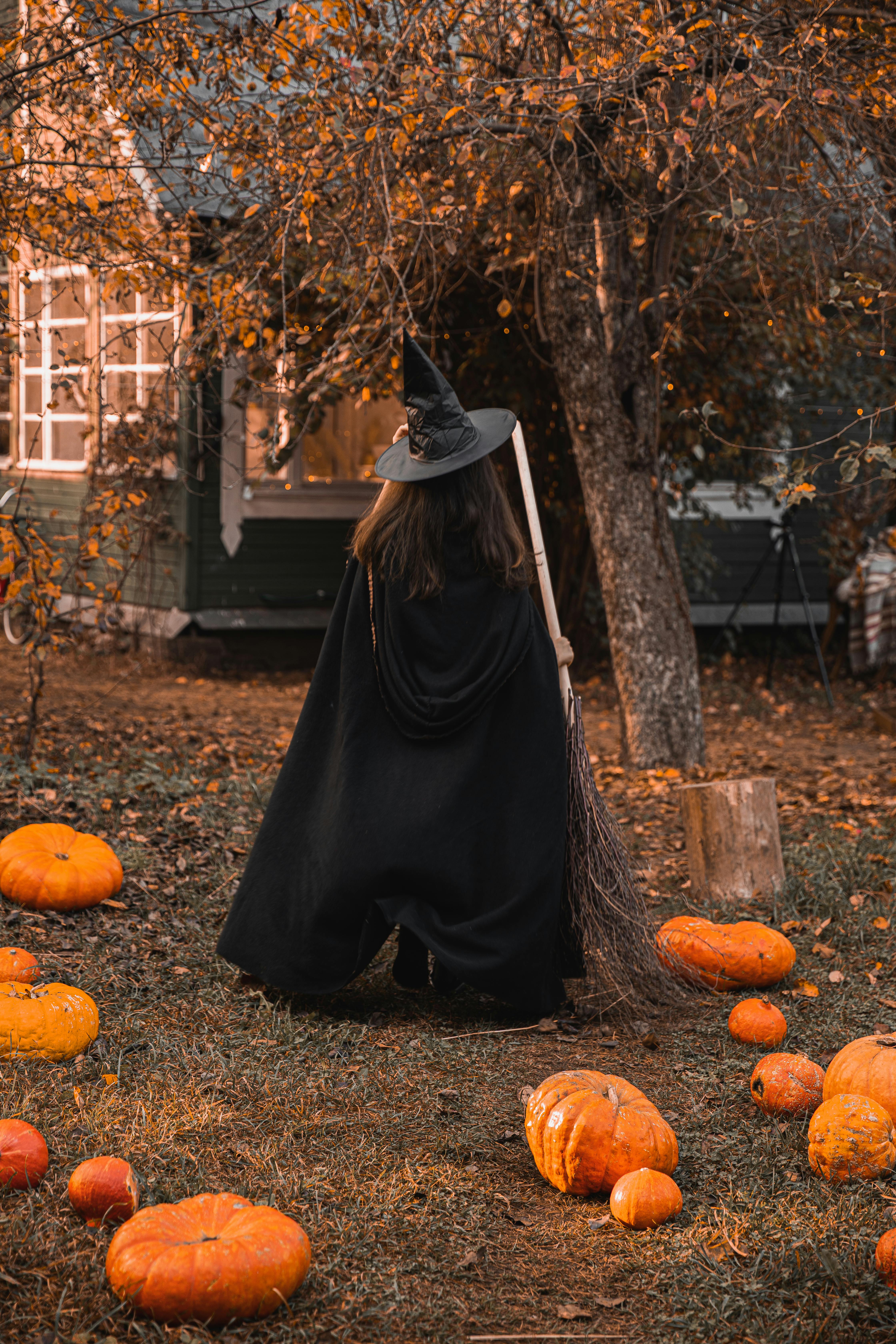 6,000+ Best Halloween Pictures · 100% Free Download · Pexels Stock Photos