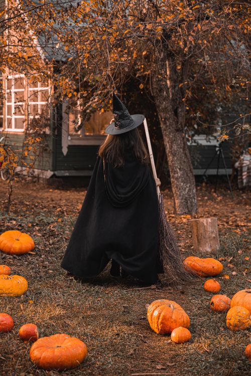 Free A back view of a witch costume amidst pumpkins, perfect for a Halloween theme. Stock Photo