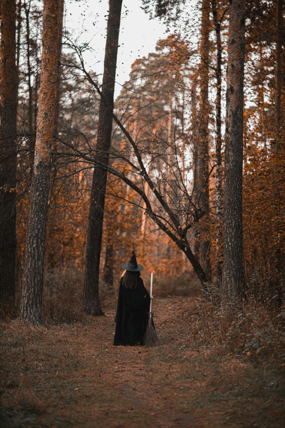 Person In Witch Costume Standing in the Middle of the Woods · Free ...
