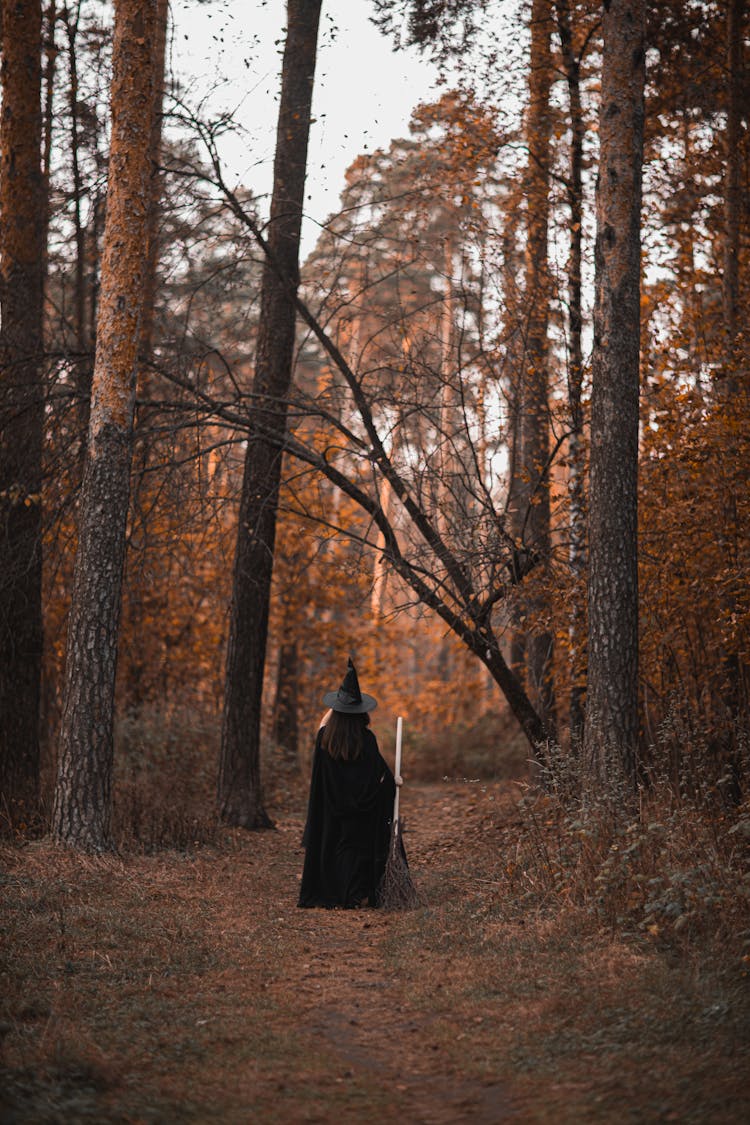 Person In Witch Costume Standing In The Middle Of The Woods