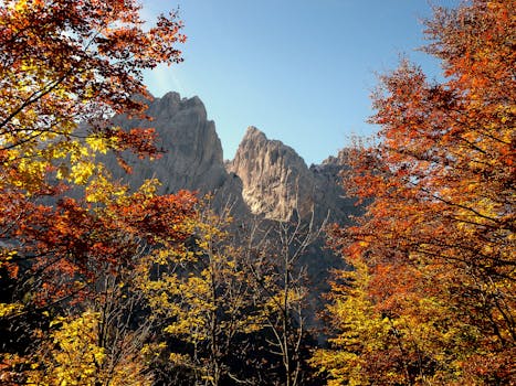 Breathtaking autumn landscape with colorful trees and the rugged peaks of Wilder Kaiser in Tirol, Austria.