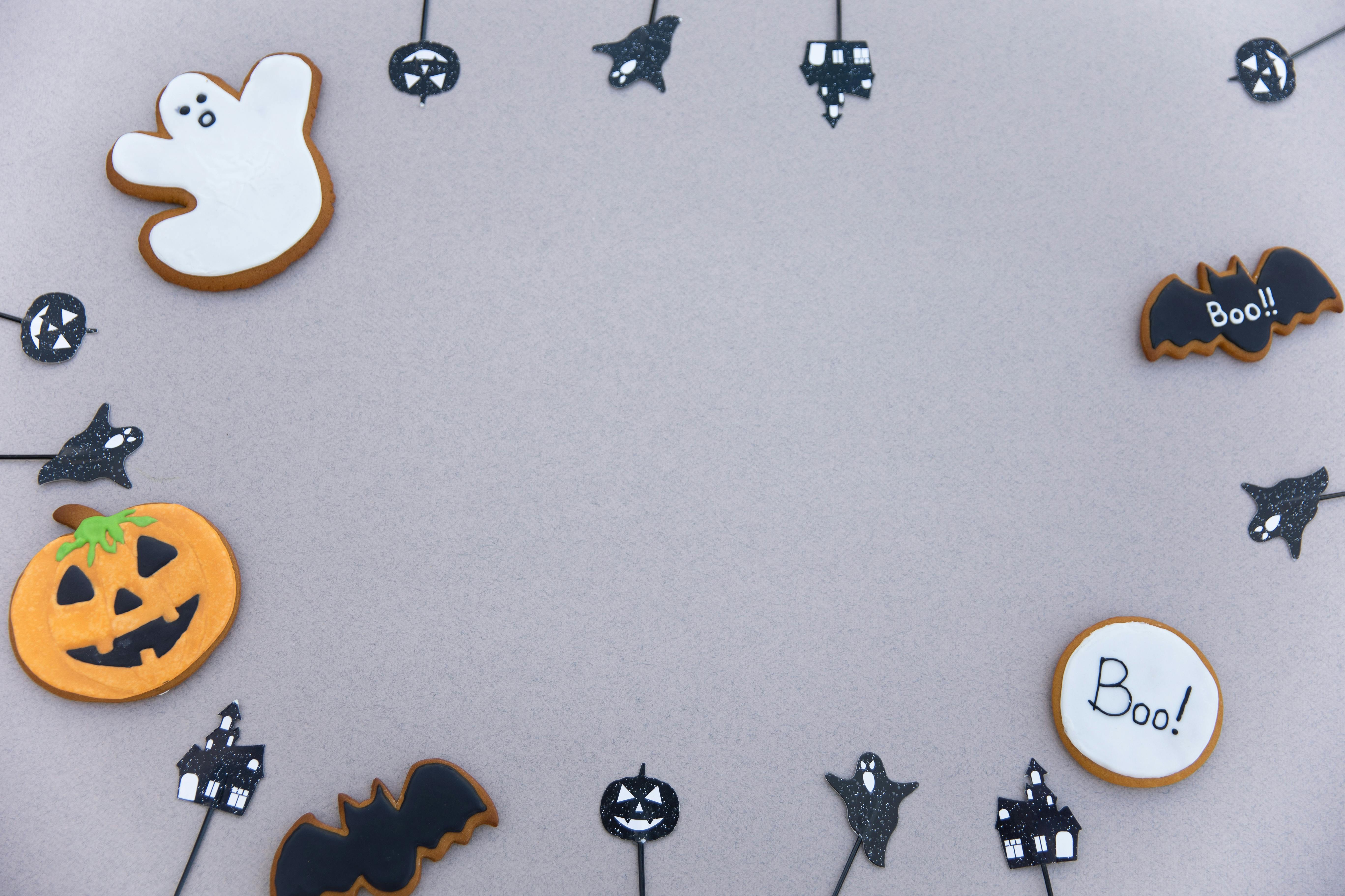 halloween decors on gray background