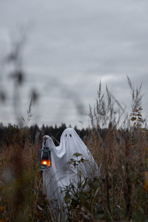 Fotobanka s bezplatnými fotkami na tému cestovať, človek, duch