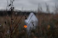 黎明时分，荒凉的田野上，一个模糊的幽灵出现在忧郁的秋日场景中