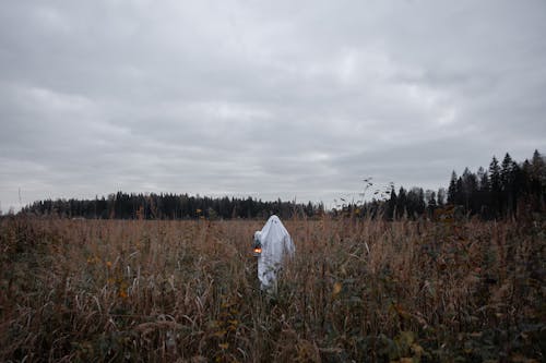 Personne En Robe Blanche Debout Sur Terrain En Herbe