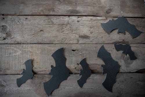 Black Paper Bats Decors on Wooden Table