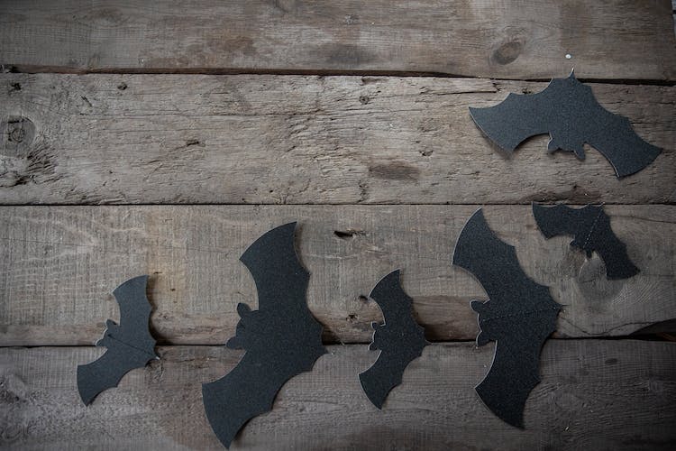 Black Paper Bats Decors On Wooden Table