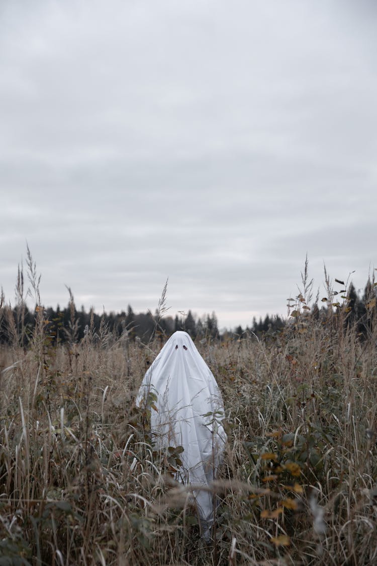 Person In Ghost Costume On Brown Grass Field 