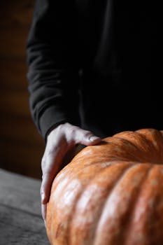 A close shot of an adult hand holding a large pumpkin indoors, ideal for fall themes.