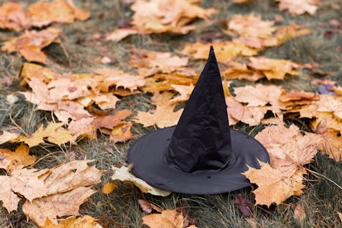 乾燥した葉の黒い魔女の帽子