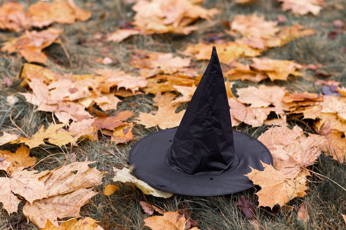 Free Black Witch Hat on Dried Leaves Stock Photo