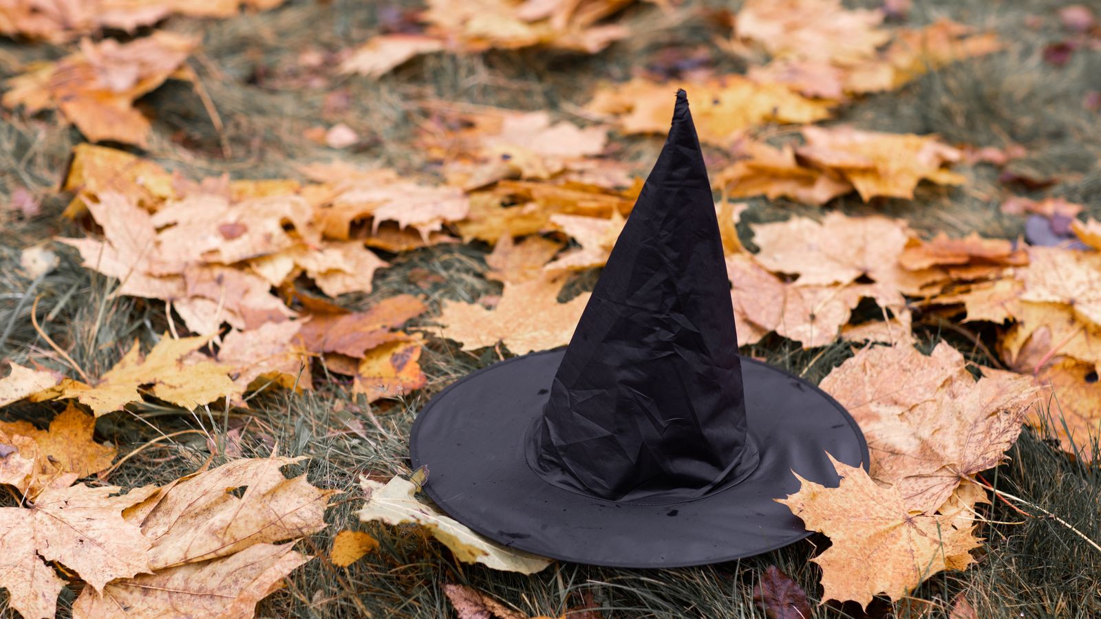 A black witch hat resting on fallen autumn leaves, a real stock photo with no people in the frame, chosen because Hexed is about a teenager who discovers she is a witch. It is not a still from the film and it does not show anyone from the cast