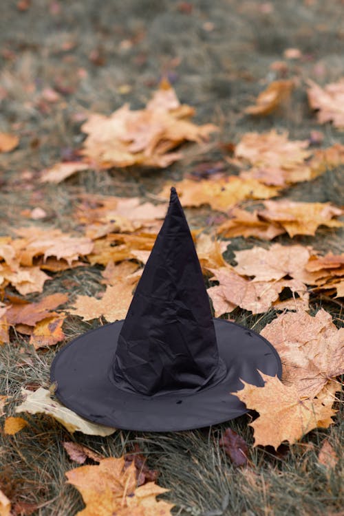 Schwarzer Hut Auf Getrockneten Blättern