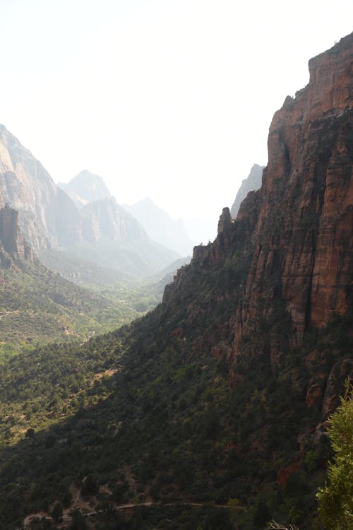 Foto d'estoc gratuïta de a l'aire lliure, alt, boira