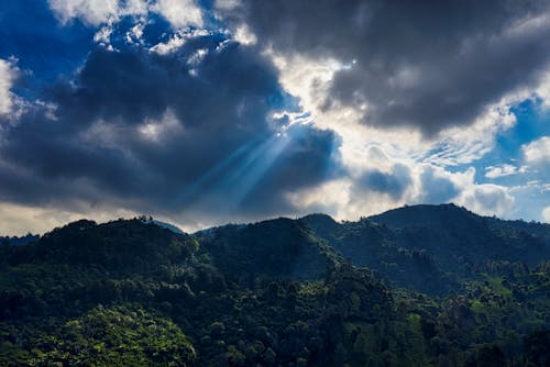 Picturesque landscape of woods on hills in sunny day