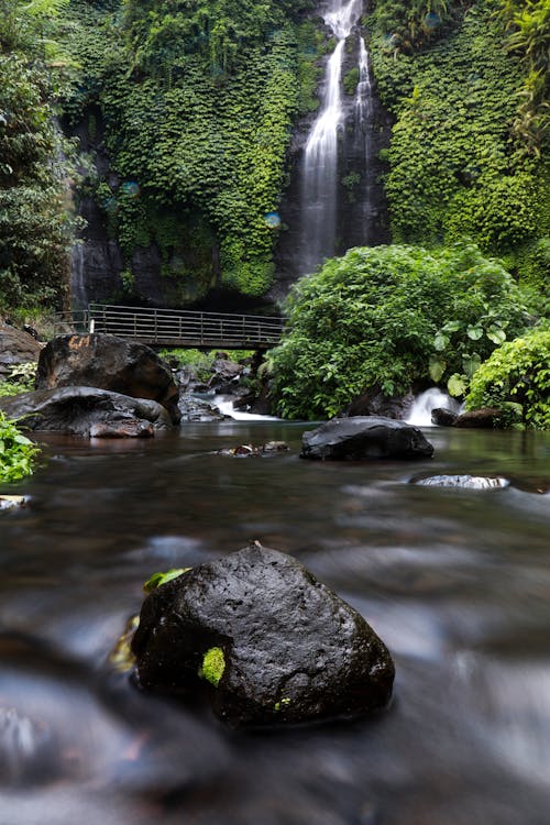 Water Fall on the Rocky Mountain with Green Plants