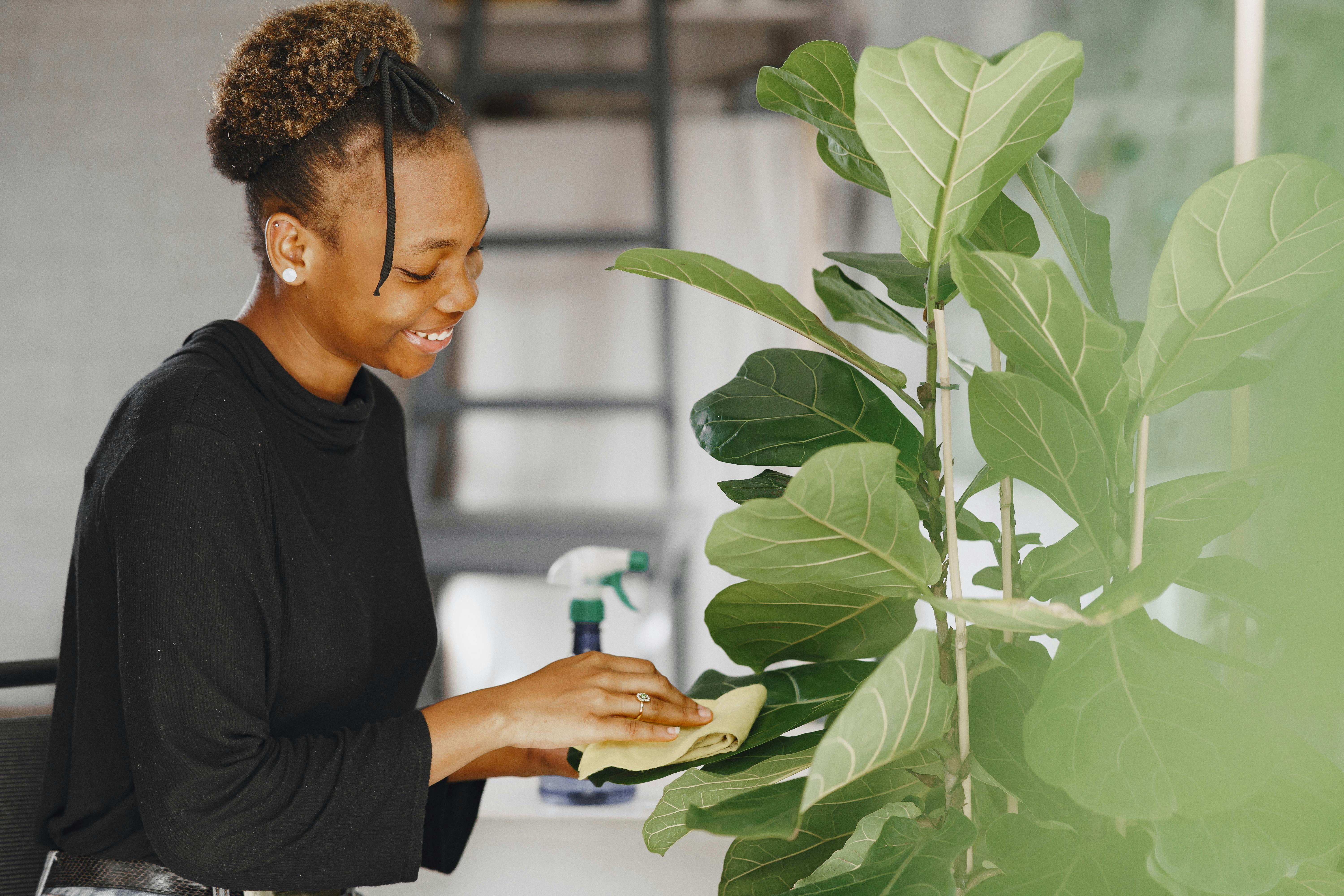 Spring Cleaning Goes Digital: Easy Ways to Declutter Your Online Life — Photo by Gustavo Fring on Pexels