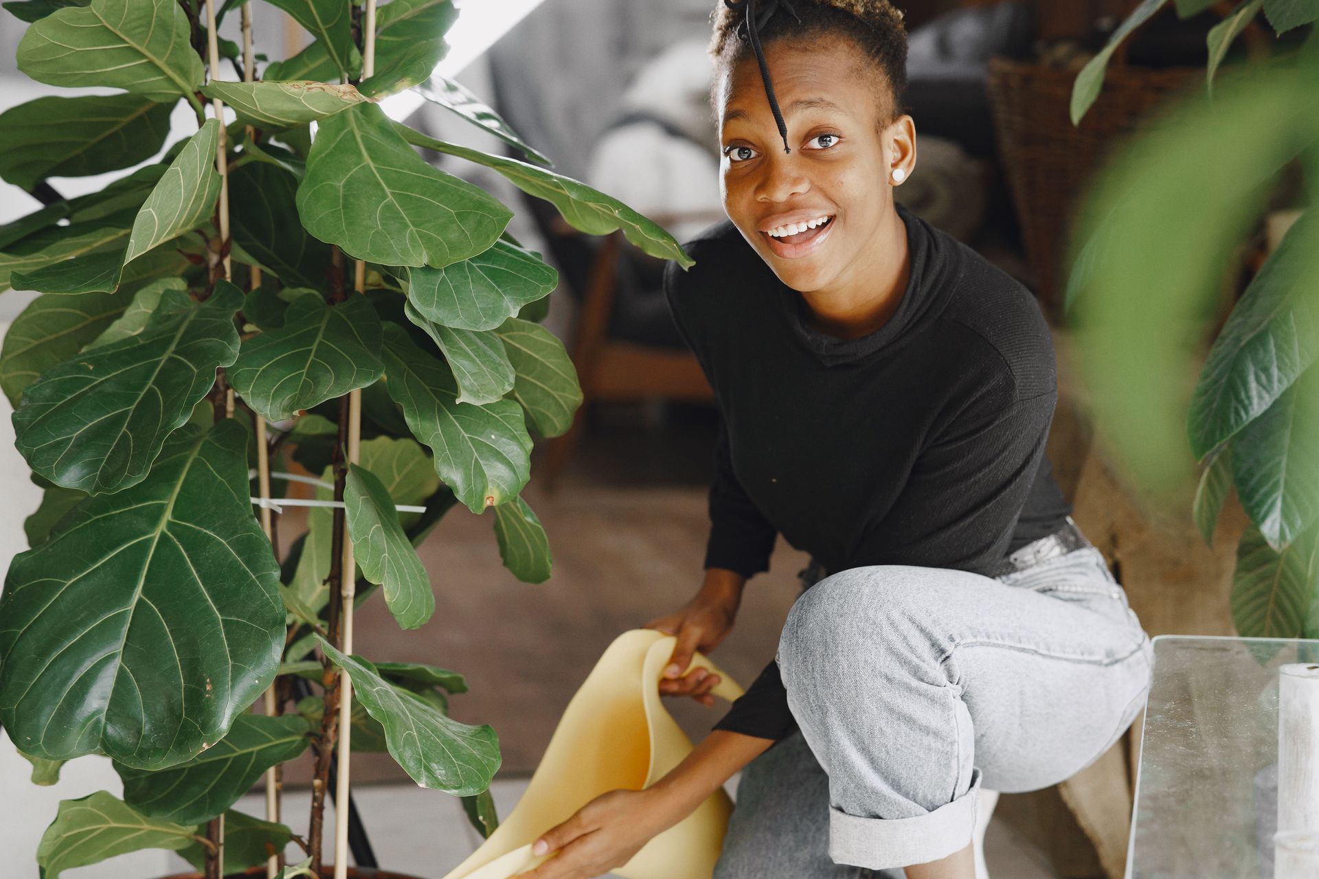 Smiling young woman watering her indoor fiddle leaf fig plant in a cozy home setting.