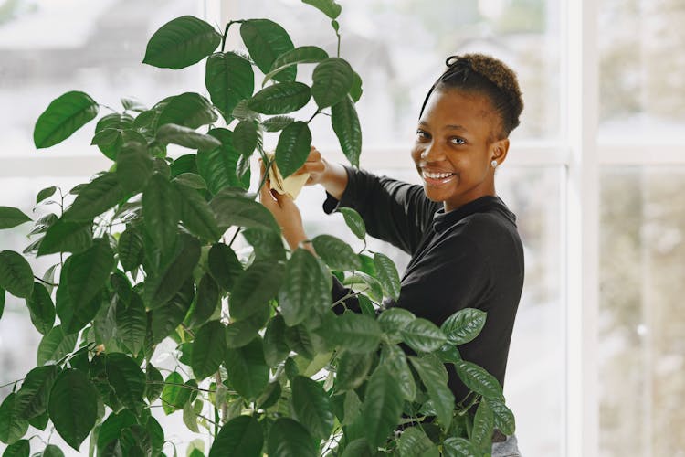 Girl Cleaning Plant Leaves From Dust