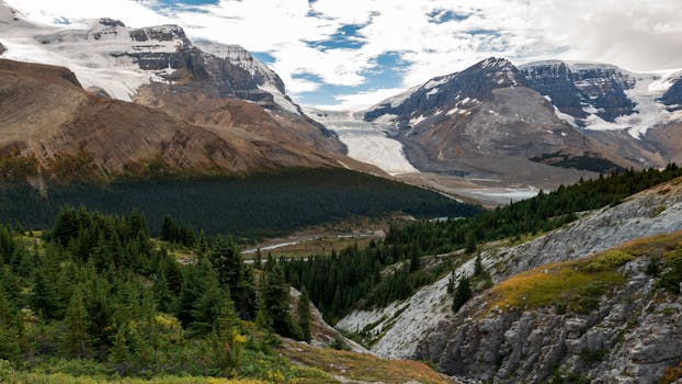 Breathtaking view of Athabasca Glacier in the Canadian Rockies, surrounded by lush greenery.