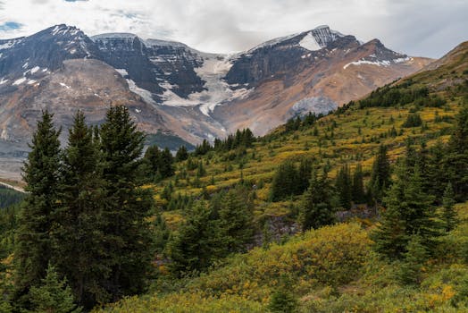 Stunning landscape of Wilcox Peak and lush greenery in Jasper National Park, Canada.