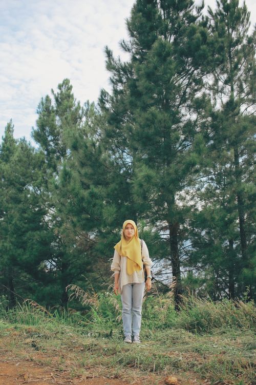 Free A young woman in hijab stands among lush pine trees, captured outdoors in daylight. Stock Photo