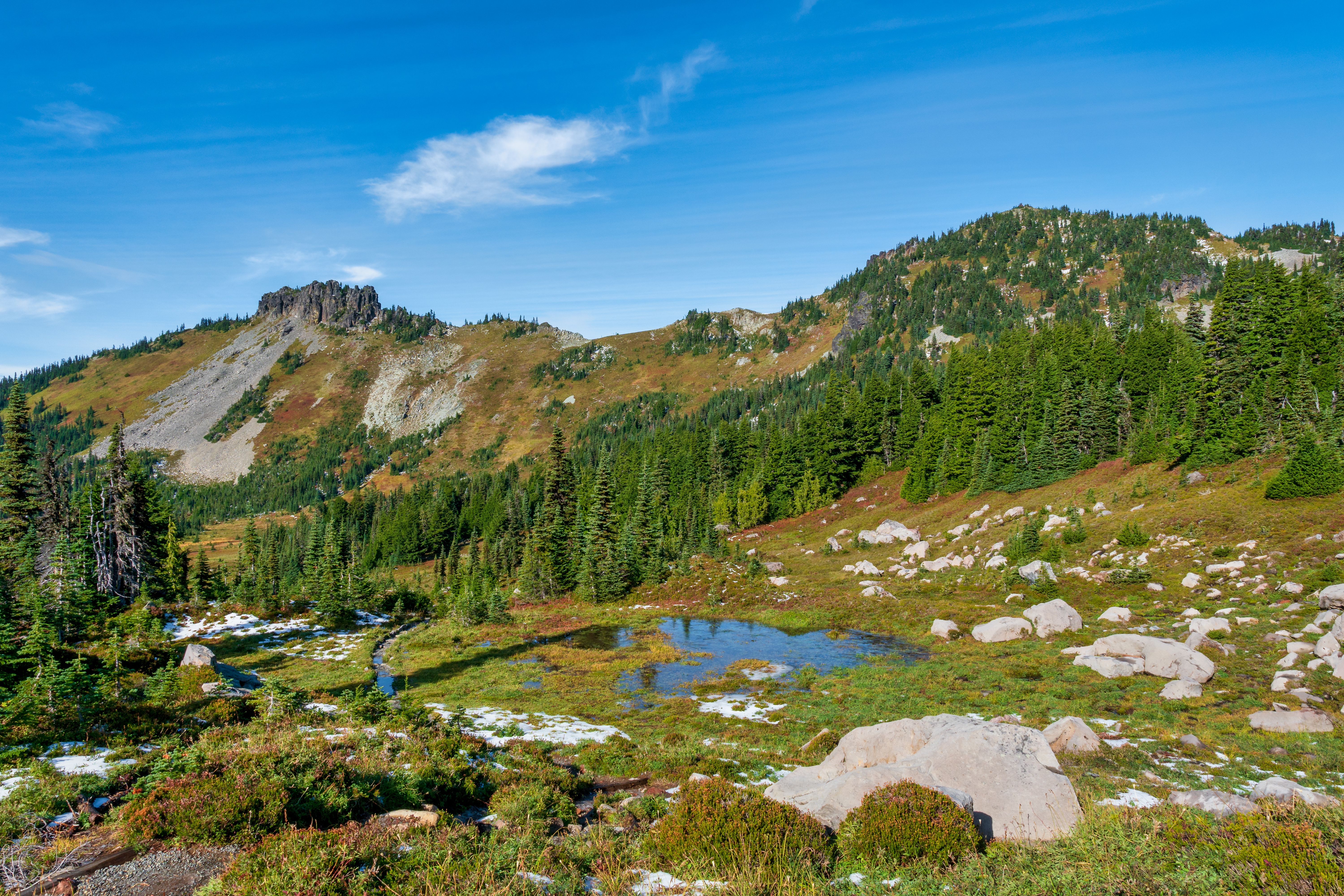 Green Trees on Mountain Under the Blue Sky · Free Stock Photo