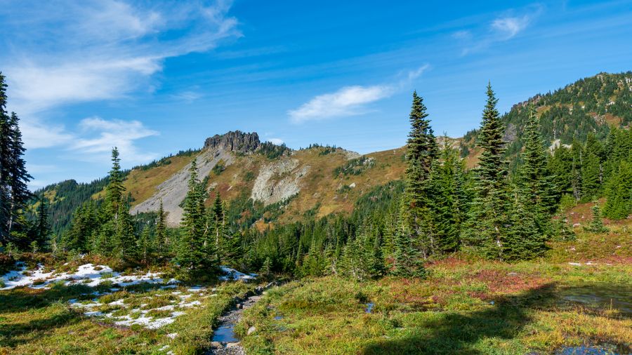 Crystal Mountain, Washington: Cascade Powder Under Rainier