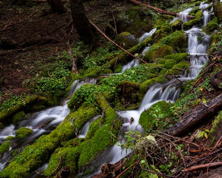 Stunning waterfall cascading through mossy rocks in a lush Washington forest setting.