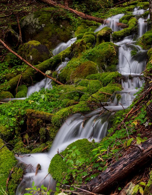 Free Waterfalls in the Forest Creek Stock Photo