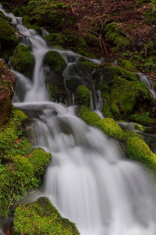 Waterfalls in the Middle of Moss Covered Rocks