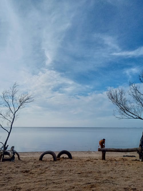 Free stock photo of beach, landscape