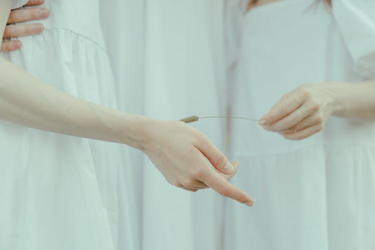 Close-up Of The Hands Of People