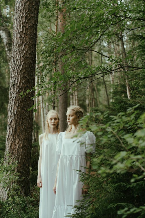 Twin Sisters Standing in a Forest · Free Stock Photo