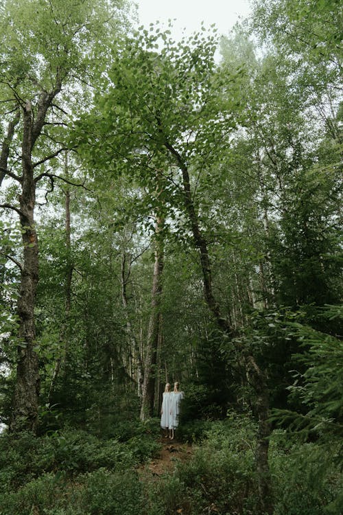 Free Twin Sisters Standing in a Forest Stock Photo