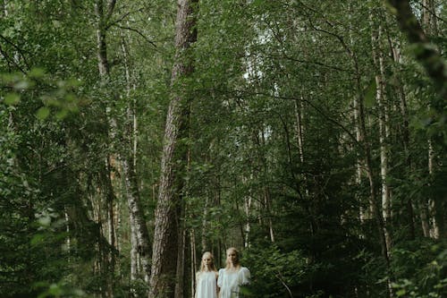 Free Twin Sisters Standing in a Forest Stock Photo
