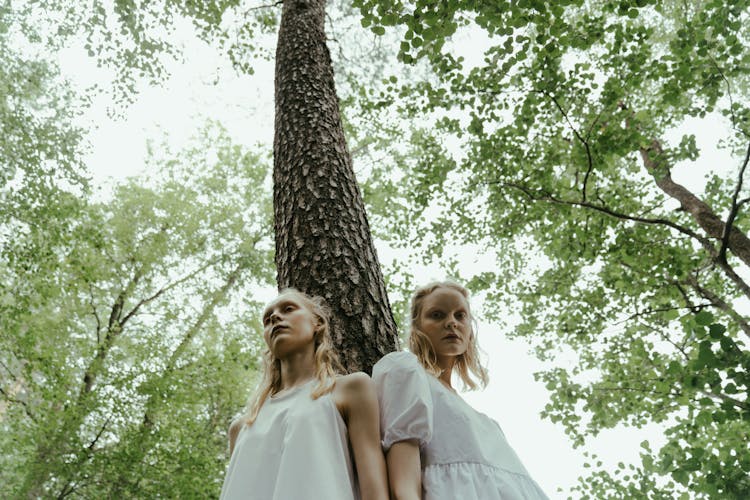 Low Angle Shot Of Women Leaning On A Tree Trunk