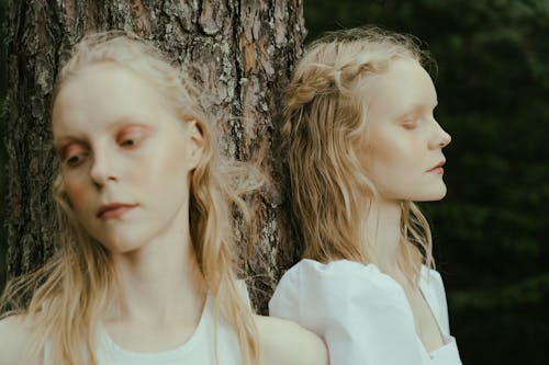 Fotobanka s bezplatnými fotkami na tému beloch, blond, kmeň stromu